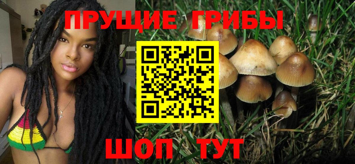Псилоцибиновые грибы мицелий  Вход с VPN  что такое   Бугуруслан  Галлюциногенные грибы Magic Shrooms 